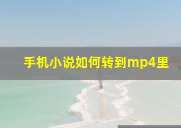 手机小说如何转到mp4里