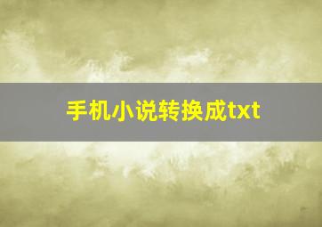 手机小说转换成txt