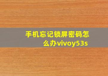 手机忘记锁屏密码怎么办vivoy53s