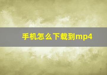 手机怎么下载到mp4