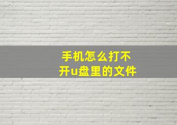 手机怎么打不开u盘里的文件