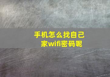 手机怎么找自己家wifi密码呢