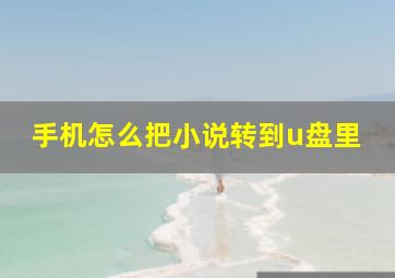 手机怎么把小说转到u盘里