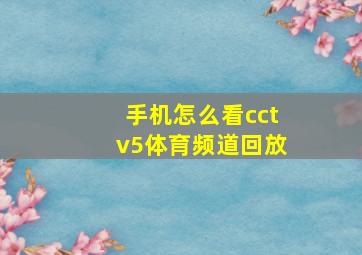 手机怎么看cctv5体育频道回放