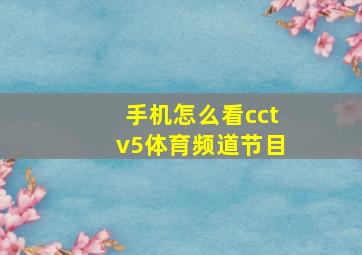 手机怎么看cctv5体育频道节目