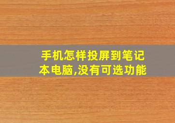 手机怎样投屏到笔记本电脑,没有可选功能