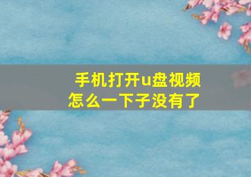 手机打开u盘视频怎么一下子没有了