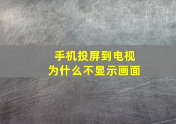 手机投屏到电视为什么不显示画面