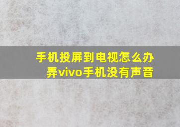 手机投屏到电视怎么办弄vivo手机没有声音