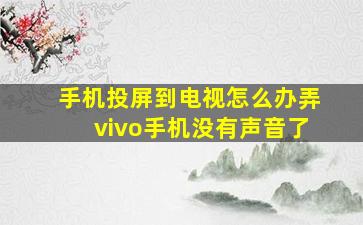 手机投屏到电视怎么办弄vivo手机没有声音了