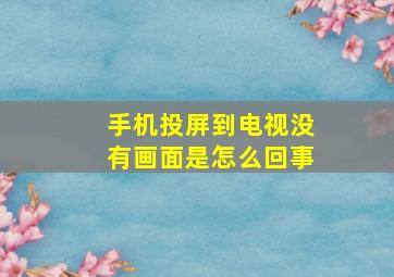 手机投屏到电视没有画面是怎么回事