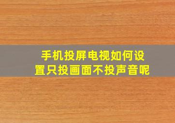 手机投屏电视如何设置只投画面不投声音呢