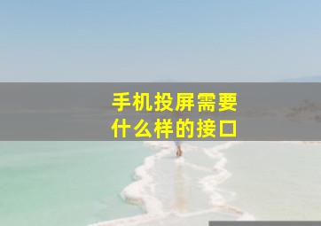 手机投屏需要什么样的接口