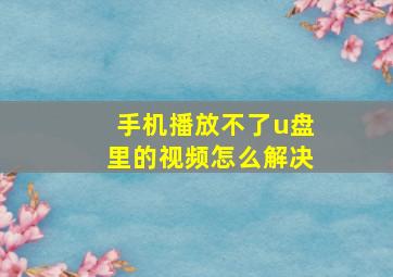 手机播放不了u盘里的视频怎么解决