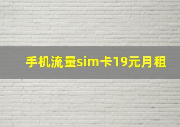 手机流量sim卡19元月租