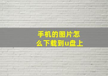 手机的图片怎么下载到u盘上