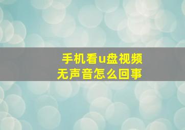 手机看u盘视频无声音怎么回事