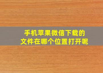 手机苹果微信下载的文件在哪个位置打开呢