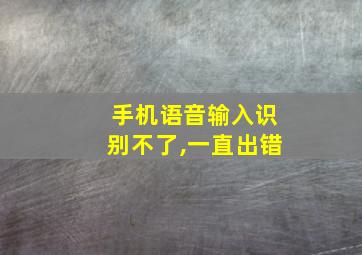 手机语音输入识别不了,一直出错