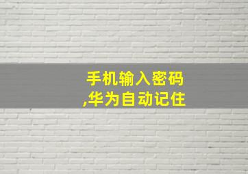 手机输入密码,华为自动记住