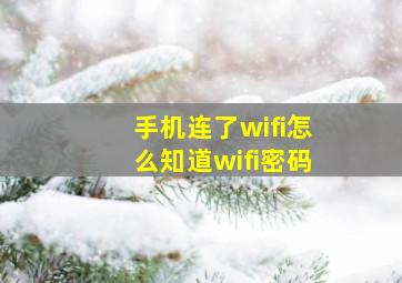 手机连了wifi怎么知道wifi密码