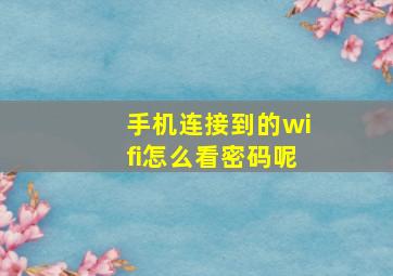 手机连接到的wifi怎么看密码呢