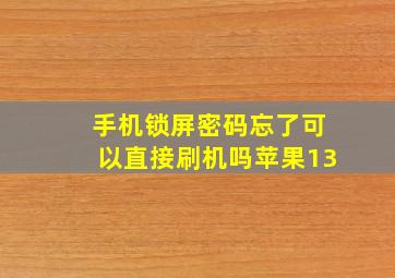 手机锁屏密码忘了可以直接刷机吗苹果13