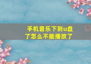 手机音乐下到u盘了怎么不能播放了