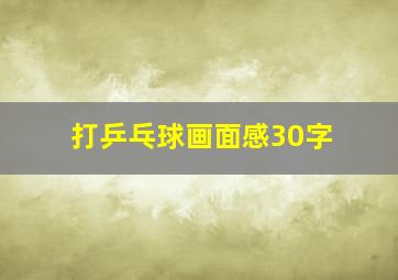 打乒乓球画面感30字