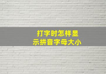 打字时怎样显示拼音字母大小