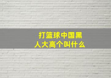 打篮球中国黑人大高个叫什么