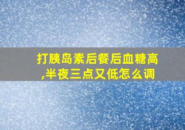 打胰岛素后餐后血糖高,半夜三点又低怎么调