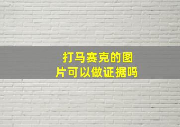 打马赛克的图片可以做证据吗