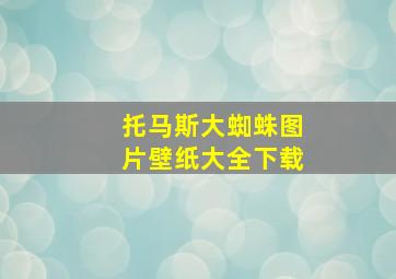 托马斯大蜘蛛图片壁纸大全下载