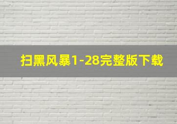 扫黑风暴1-28完整版下载