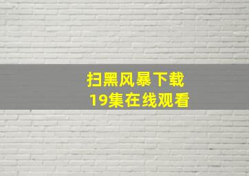 扫黑风暴下载19集在线观看