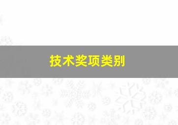 技术奖项类别