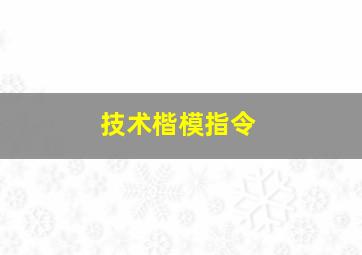 技术楷模指令