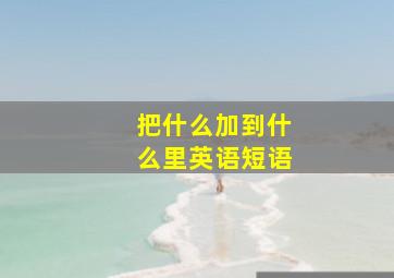 把什么加到什么里英语短语