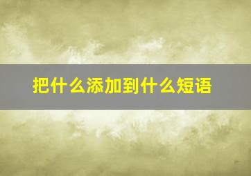 把什么添加到什么短语