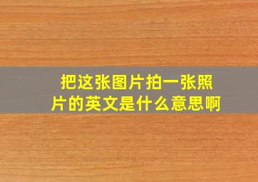 把这张图片拍一张照片的英文是什么意思啊