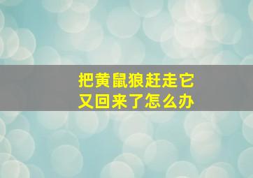 把黄鼠狼赶走它又回来了怎么办