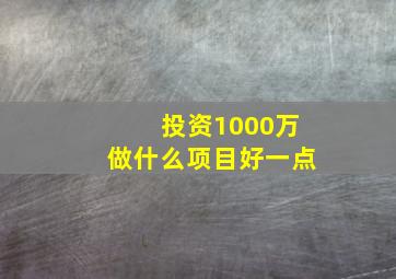 投资1000万做什么项目好一点