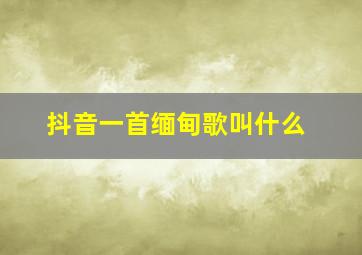 抖音一首缅甸歌叫什么