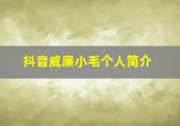 抖音威廉小毛个人简介