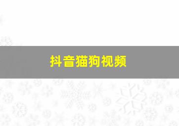 抖音猫狗视频