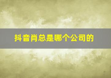 抖音肖总是哪个公司的