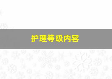 护理等级内容