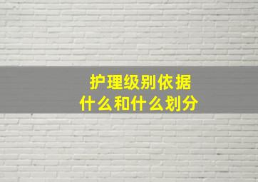 护理级别依据什么和什么划分