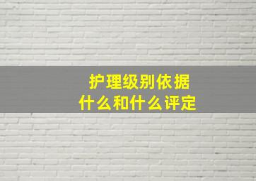 护理级别依据什么和什么评定